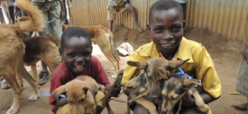 African children with dogs